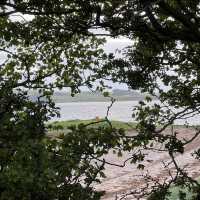 Vikings Place Largs 