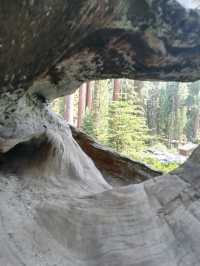 Gazing at Giants: Sequoia National Park