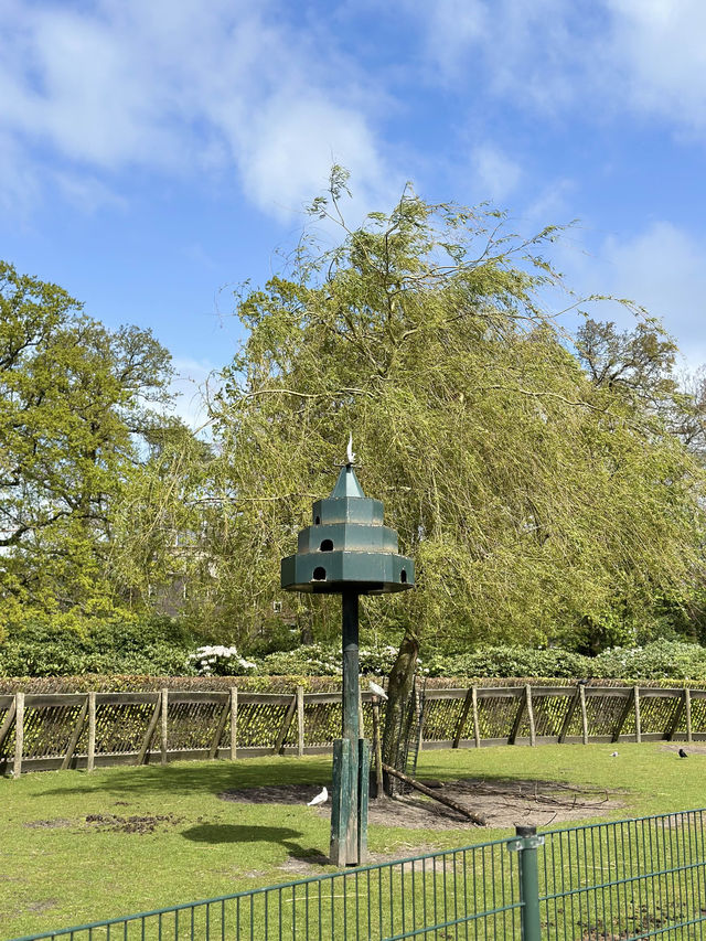 Relax & Get Fresh Air at Rusthoff Park