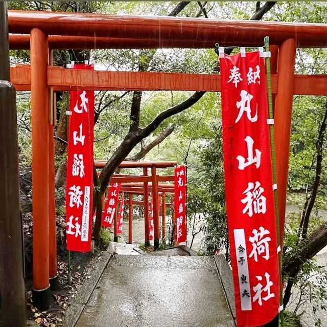 ⛩️鶴岡八幡宮⛩️建於11 世紀✨️傳統的江戶建築風格✨️