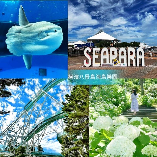 🐋横濱八景島海島樂園🦭島上的水族館和機動遊戲