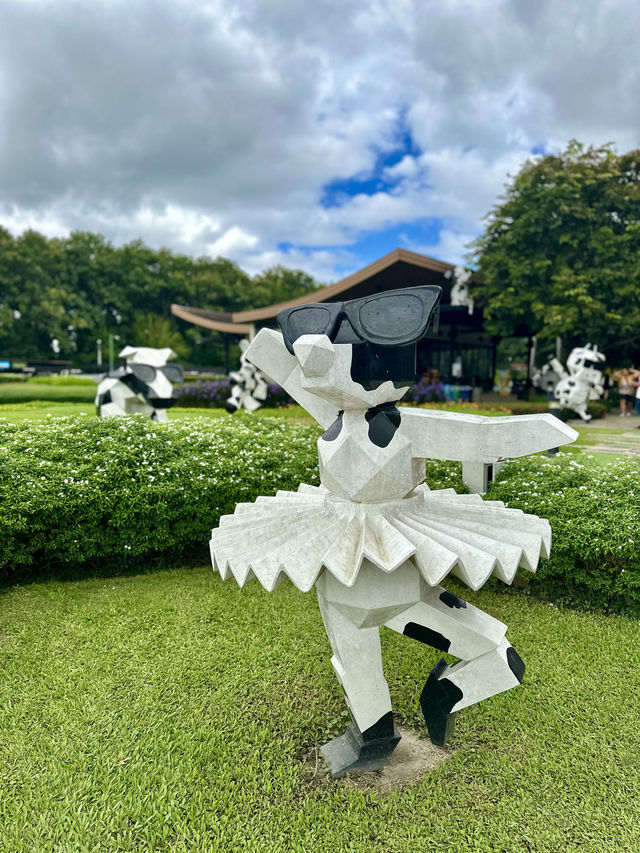 📍Singha Park, Chiang Rai, Thailand 