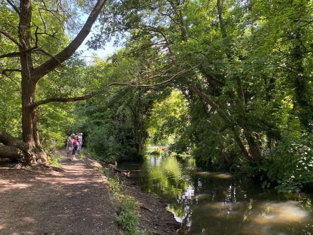 Serene Day at Lullingstone Country Park 🌳🌼