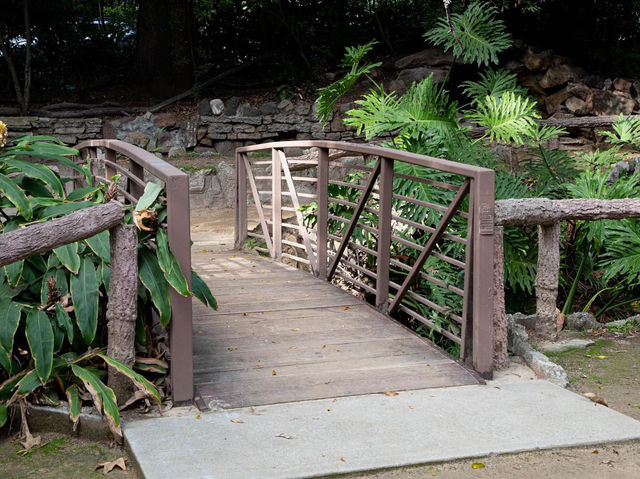 Fern Dell Nature Trail 🇺🇸
