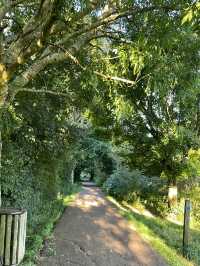 Pollok Country Park 