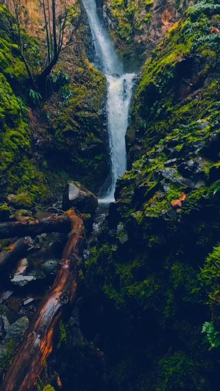 Natural beauty 