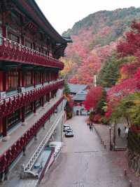 충북 단양 구인사 🍁