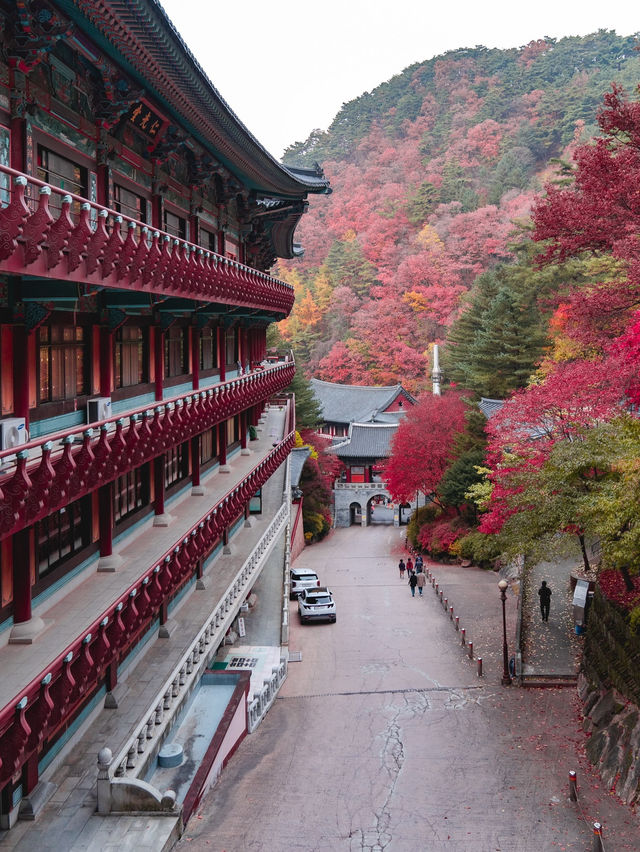 충북 단양 구인사 🍁