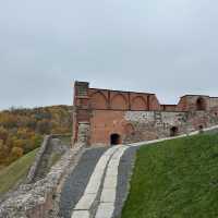  A Panoramic Journey Above Vilnius
