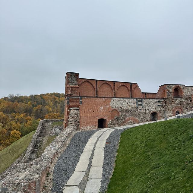  A Panoramic Journey Above Vilnius
