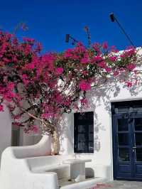 Mykonos at its finest. 