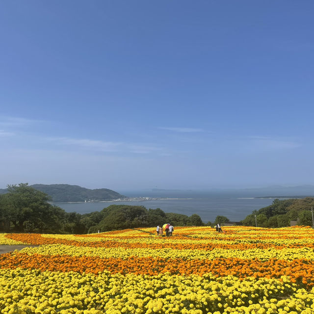 Nokonoshima island 💗