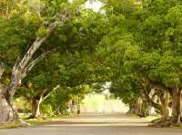 Day Trip to Mauritius