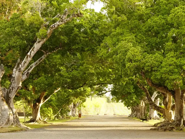 모리셔스로의 당일치기 여행