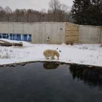 Tallinn Zoo - Estonia