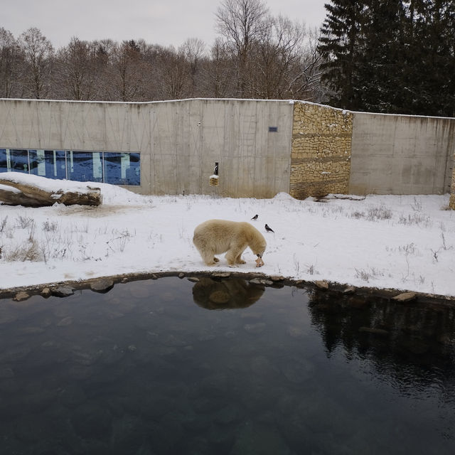 Tallinn Zoo - Estonia