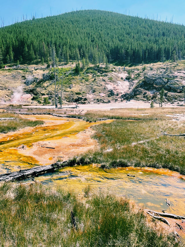 Yellowstone National Park – Nature’s Ultimate Theme Park! 🌋