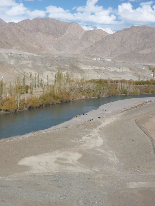Indus River View near Leh: A Serene Himalayan Landscape