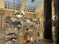 Must-Do Activities in Bristol