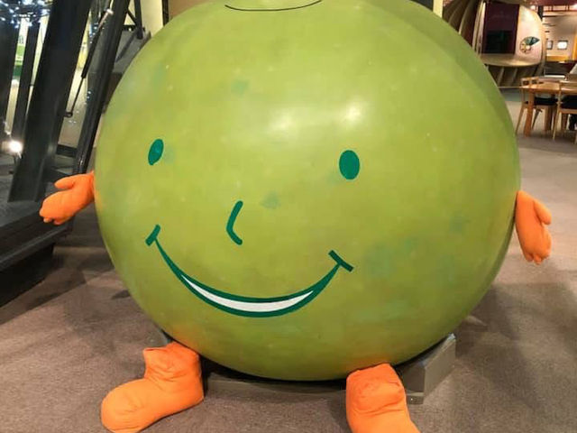 Pear-themed museum
