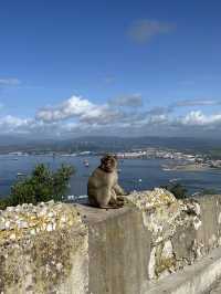 Gibraltar - May 2025