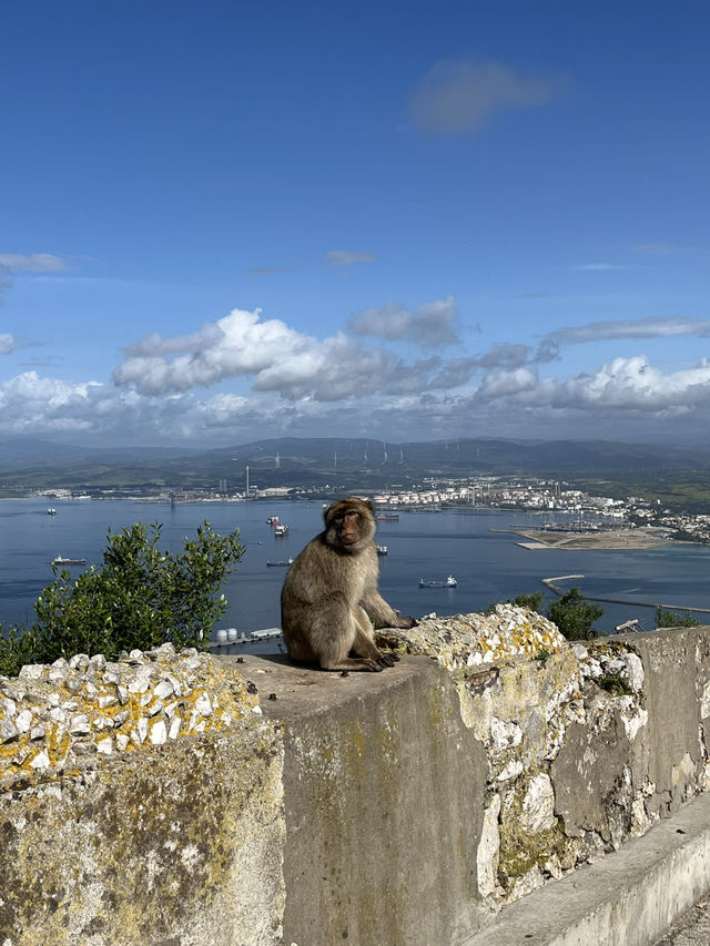 Gibraltar - May 2025