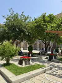 Spring Highlight in Samarkand: Registan Square
