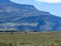 Wildlife Watcher’s Paradise