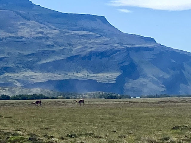 Wildlife Watcher’s Paradise