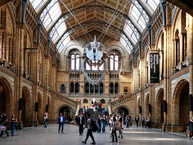 Discovering the Natural World: Reflections on Natural History Museum