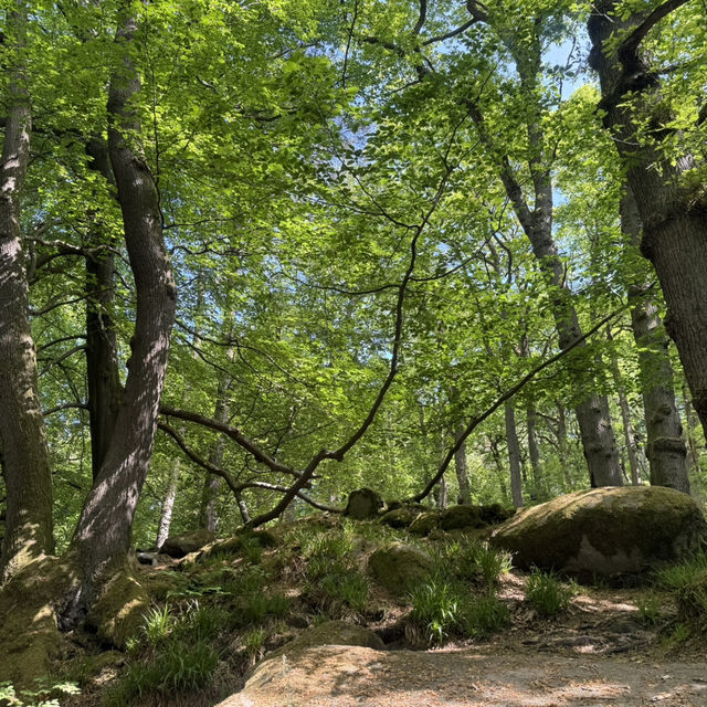 🚆 Manchester to Hope Valley – A Scenic Escape 🏞️