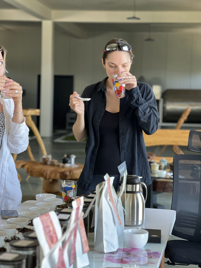 Tea tasting in Georgia 