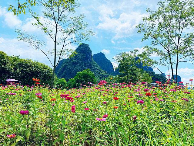 🌿 I Thought I’d Seen Beautiful – Then I Found Yangshuo 🇨🇳