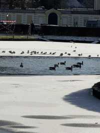 A Winter Waltz in Munich and Innsbruck