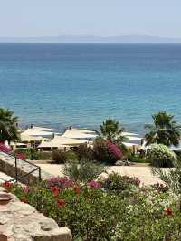  Sinai sea with a tropical touch!