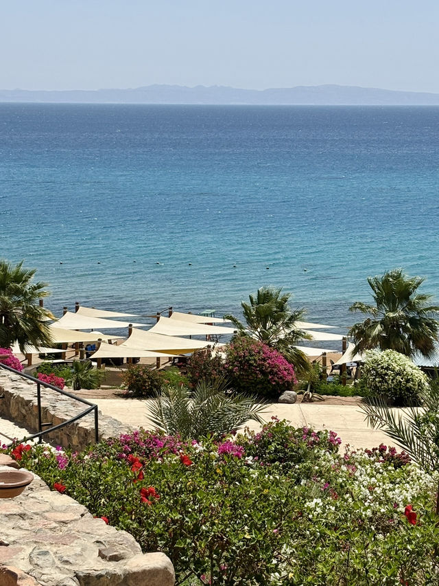  Sinai sea with a tropical touch!