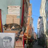 🇹🇷 Istanbul on a Budget: See the City Without Breaking the Bank