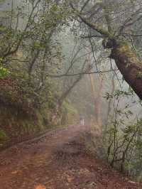 🌺 Madeira, Portugal – Europe’s Garden Island & Hiking Paradise