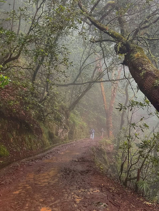 🌺 Madeira, Portugal – Europe’s Garden Island & Hiking Paradise