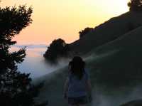 On top of the world just a stones throw from San Francisco! 