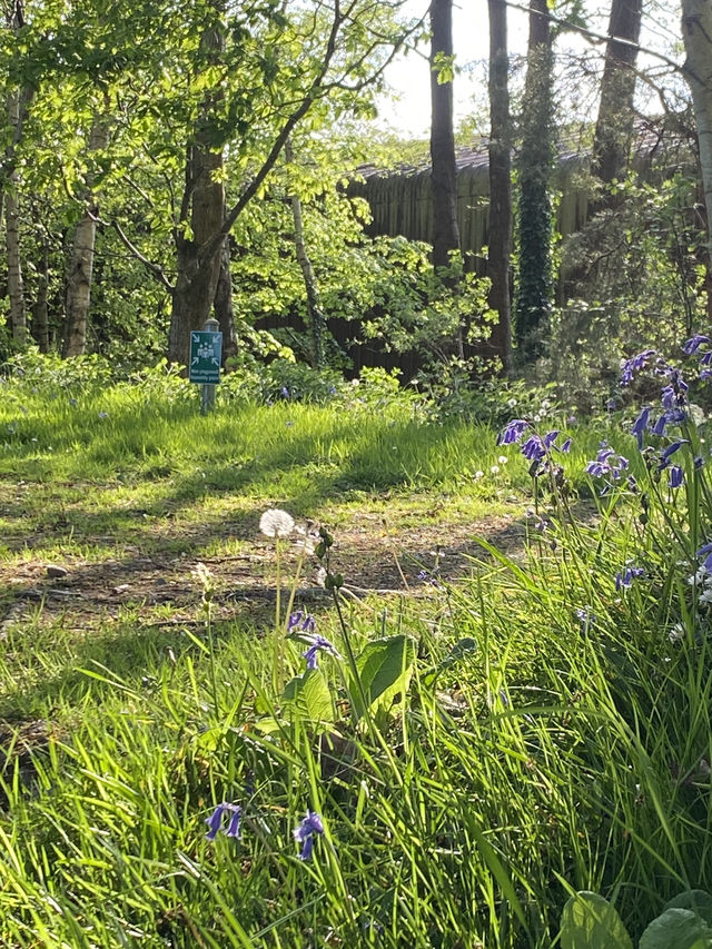 Lampeter: A Quiet Welsh Gem with a Gentle Soul