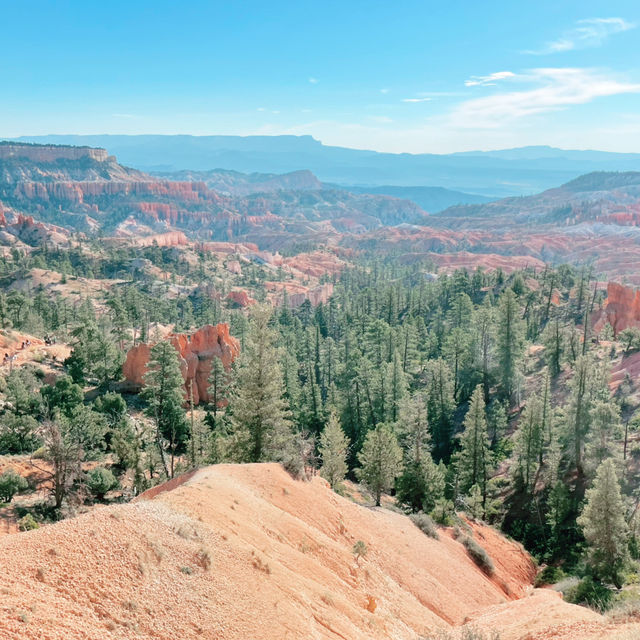 The Mighty 5 in 5 Days: Utah’s Ultimate Road Trip