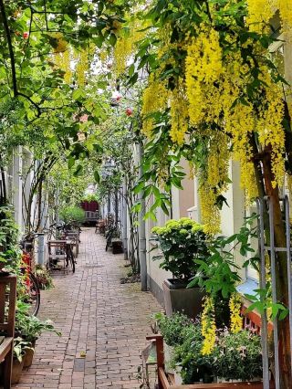 Hansestadt Lübeck: Germany’s Medieval Gem of Brick Gothic Splendor