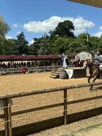 Warwick Castle Joust 