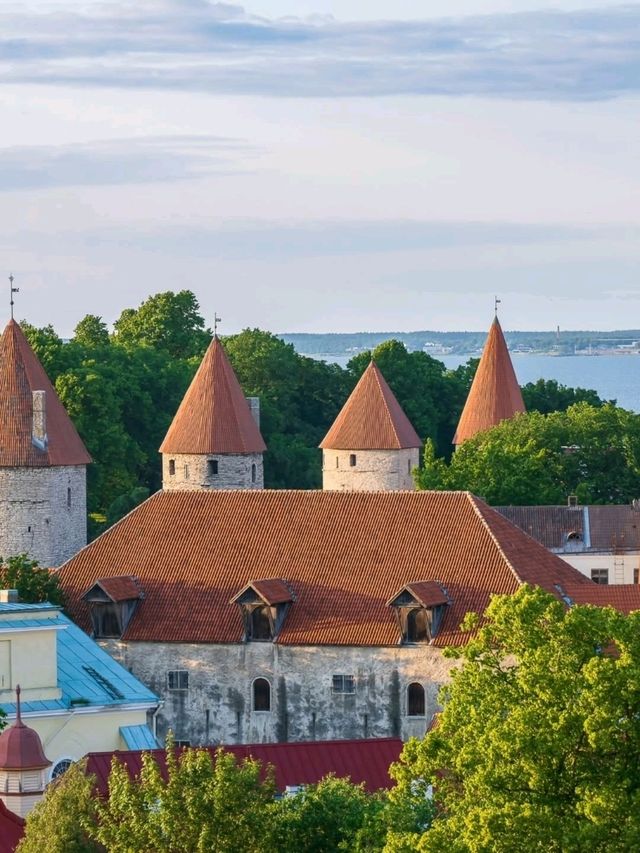 🏰 Where Towers Touch the Sky – Tallinn, Estonia