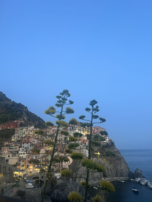 Manarola – Where Colors Meet the Sea