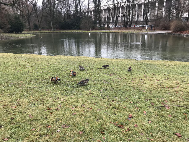 Munich✨Nature Fix: A Royal Retreat at the English Garden 🌸 Munich✨Nature Fix: A Royal Retreat at the English Garden 🌸