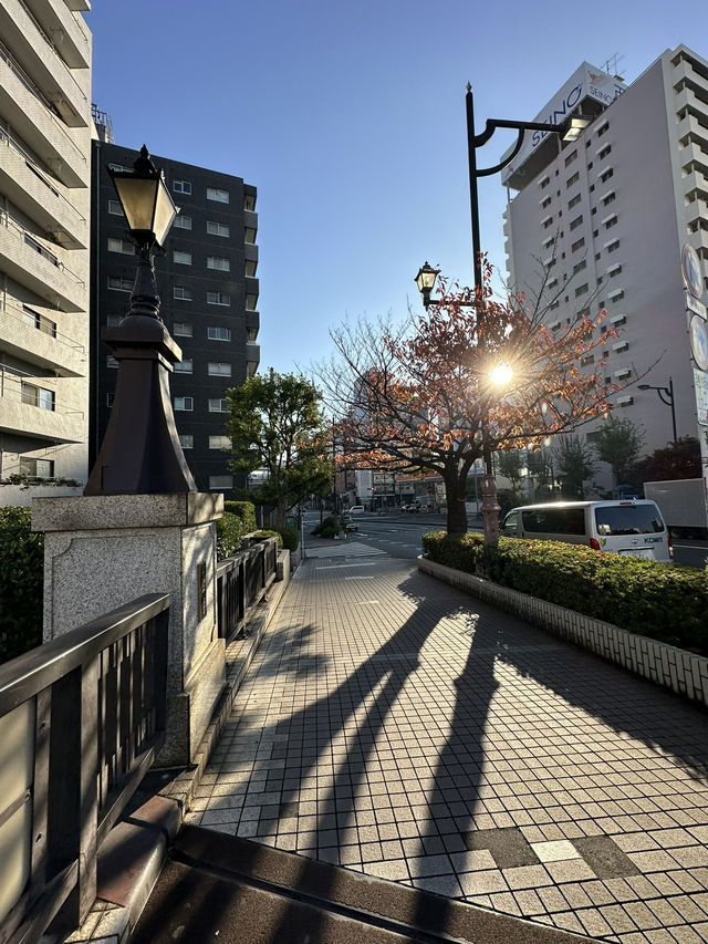 Exploring Tokyo & Kyoto means diving deep into centuries
