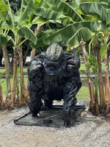 委內瑞拉之旅：埃爾維希亞必遊景點