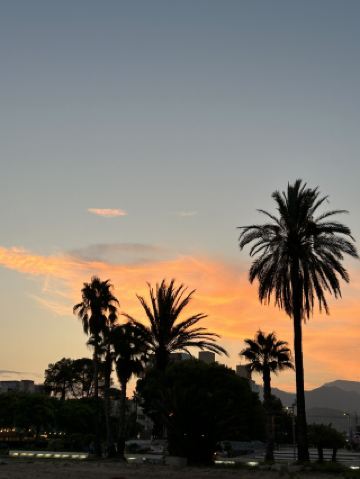 🌞🇪🇸 Sun, Waves & Spanish Beach Vibes